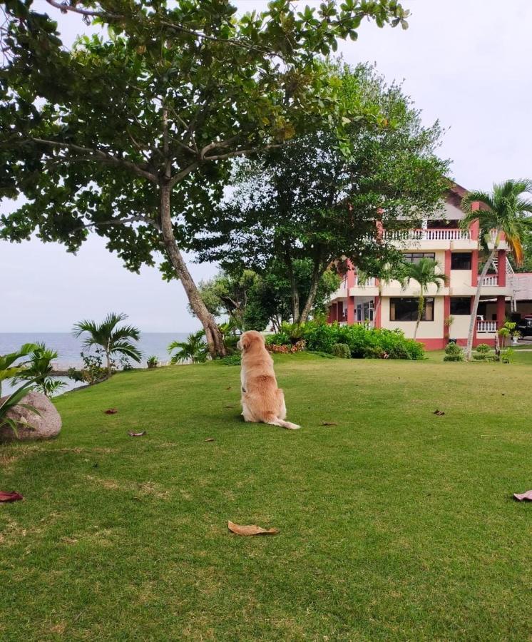 Wuthering Heights Bed & Breakfast By The Sea Dumaguete City Екстер'єр фото
