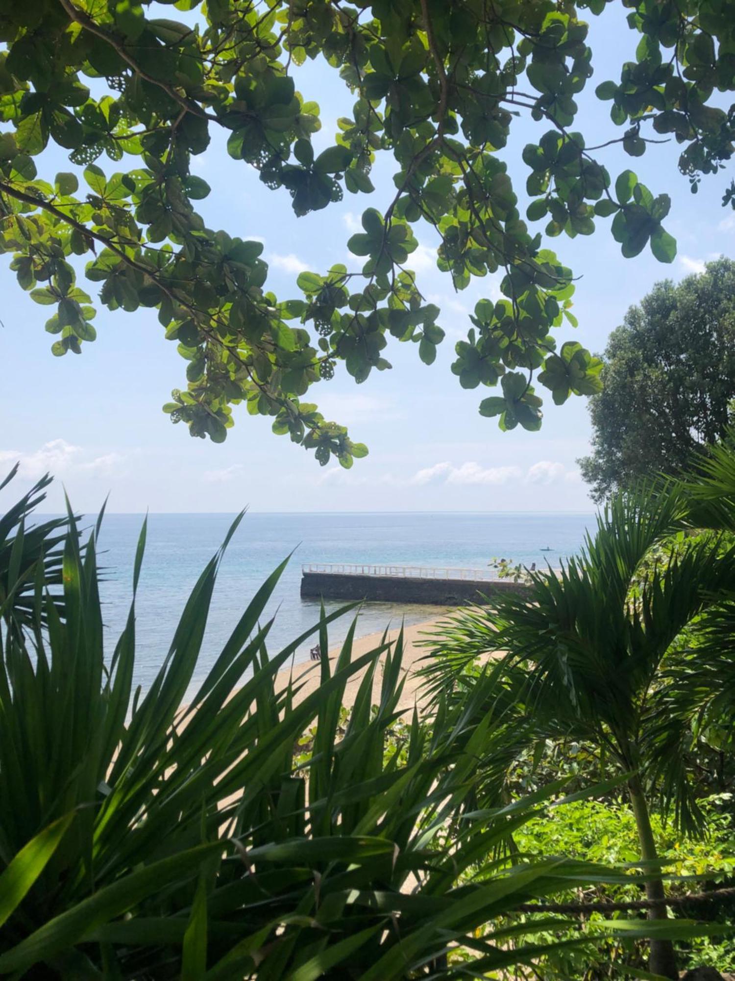 Wuthering Heights Bed & Breakfast By The Sea Dumaguete City Екстер'єр фото