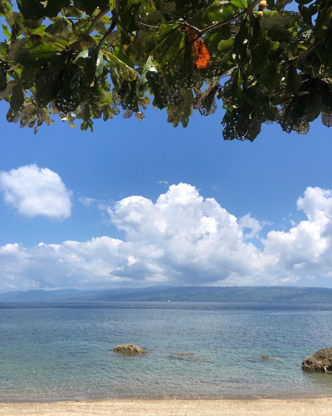 Wuthering Heights Bed & Breakfast By The Sea Dumaguete City Екстер'єр фото