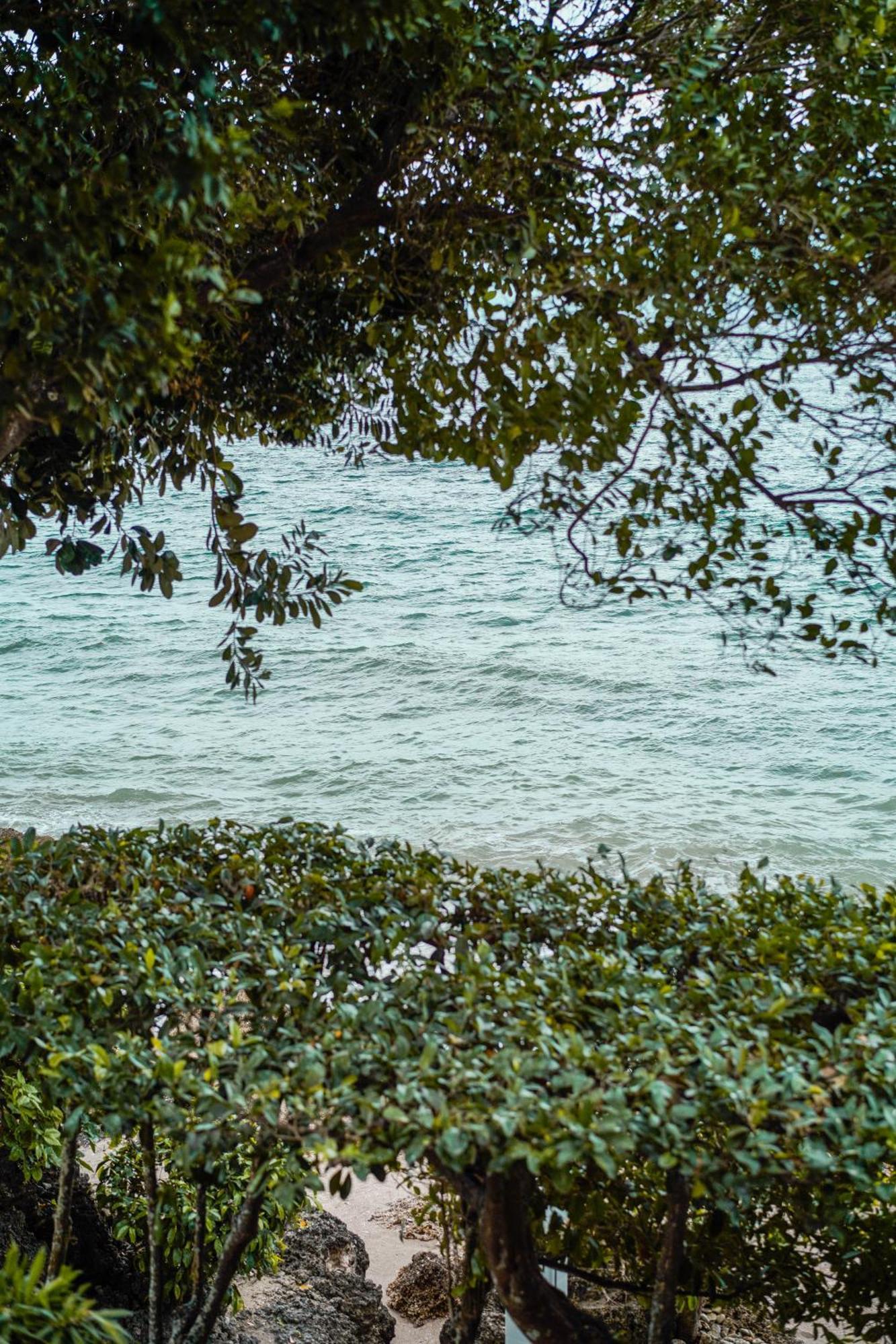 Wuthering Heights Bed & Breakfast By The Sea Dumaguete City Екстер'єр фото